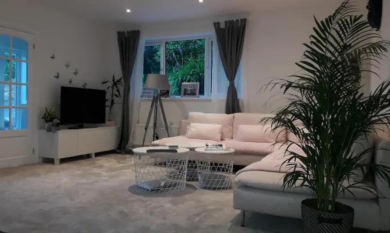 Sunny-side-up Villa *